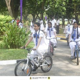 මාර්ග ආරක්ෂණ අධ්‍යයන ඒ්කක වැඩසටහන - කොළඹ විහාර මහා දේවි උද්‍යානය